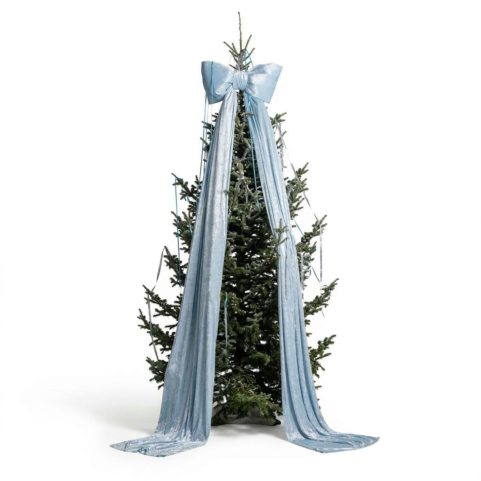 Ενοικίαση μεγάλων ελάτων για εκδηλώσεις