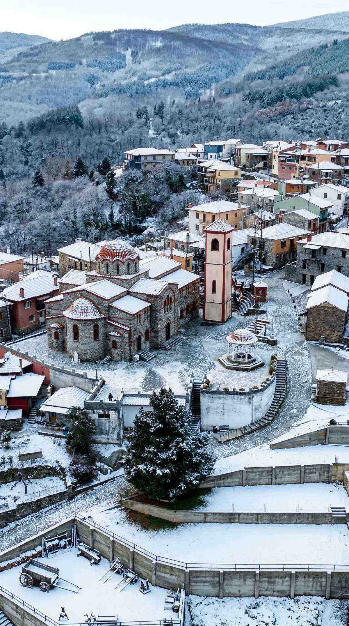 Ταξιάρχης Χαλκιδικής — φυτώριο ελάτων